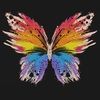 beautiefly
